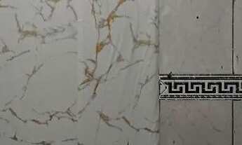 Imagem 14: Edícula pra alugar direto com Proprietário