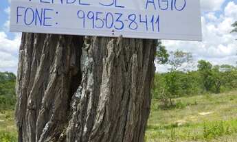 Imagem 6: Vendo ágio de lote