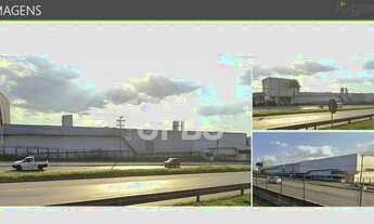 Imagem 5: Galpão a venda na localizado na BR 153 em Aparecida de Goiânia