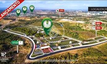 Imagem: FLORAIS SAFIRA codigo 101050