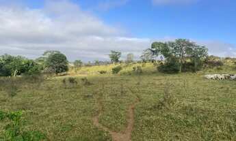 Imagem 2: FAZENDA 7 ALQUEIRES - HEITORAÍ - GO