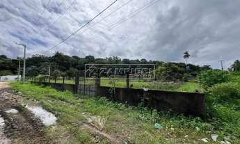 Imagem 2: Área à venda em Paripueira às margens da AL-101 Norte