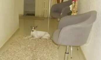 Imagem: Cobertura na Pampulha