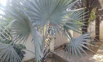 Imagem 4: Casa 03 quartos, 01 suíte, 02 vagas, Jd. Bela Vista, Cosmópolis, SP