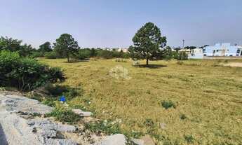 Imagem: TERRENO NO RIO VERMELHO - FLORIANÓPOLIS