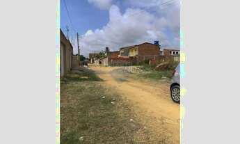 Imagem 6: Terreno Imperdível à Venda em Peroba Maragogi, Alagoas