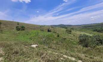 Imagem 7: Fazenda de 277 hectares