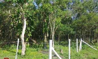 Imagem 3: Terreno Residencial em Ratones