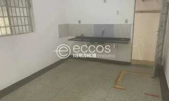Imagem 4: Casa comercial para aluguel, Custódio Pereira - Uberlândia/MG