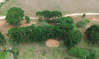 Imagem 6: Linda Chácara á Com 36.000 m² em Mandirituba - PR