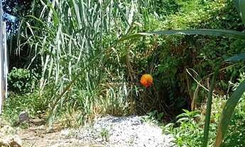 Imagem 4: Terreno à venda, 360 m² por R$ 630.000,00 - Camboinhas - Niterói/RJ