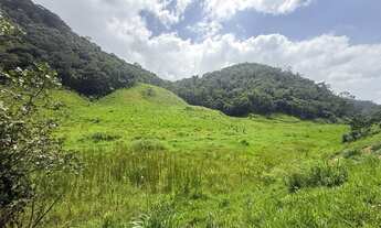 Imagem 4: Sítios a venda em Piraí RJ R$250.000