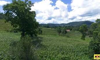 Imagem: Sítio / Chácara para Venda em Nova Petrópolis