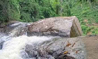 Imagem 7: Venda-se 2 alqueires e 10 litros de mata no Município de Mimoso do Sul/ES