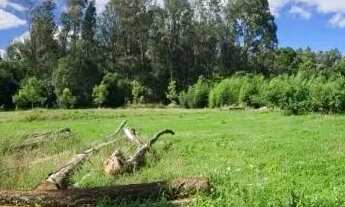 Imagem: CAXIAS DO SUL - Terreno Padrão - LINHA