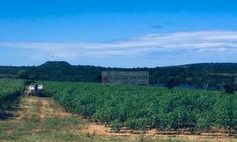 Imagem 5: CHÁCARA 15 HECTARES COMPLETA À BEIRA DO LAGO