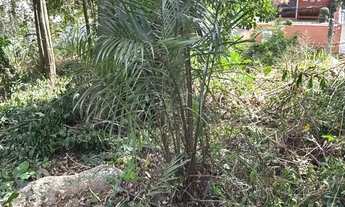 Imagem 7: BOSQUE DOS ESQUILOS