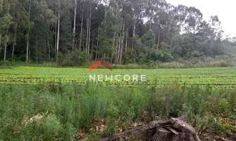 Imagem 3: Lote em Estrada Principal Rincão dos Kroeff - Rincão do kroeff - São Francisco de Paula/RS