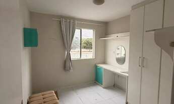 Imagem 6: DAU23// PALMEIRAS IV