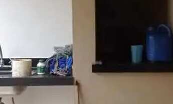 Imagem 2: Casa à locação no bairro JD PANORAMA, ARAÇATUBA cod:32613