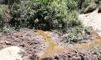 Imagem 6: Oportunidade! Área rural com muito potencial em São Francisco Xavier!