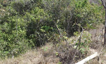 Imagem 5: Pertinho da Serra do Cipó, lindo terreno rural de 130 mil metros (Temos varias opções