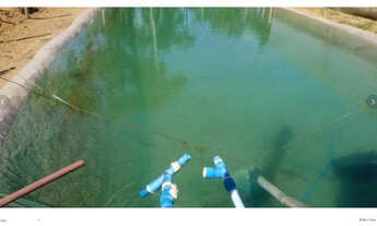 Imagem 7: Chácara 2 hectares na quebrada os Neres - Planaltina DF