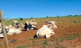 Imagem 2: Fazenda de ( 152,4 Hect ) Região De São Francisco De Sales-MG