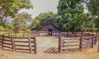 Imagem 7: Fazenda em Rio Sono. 60 mil o alqueire