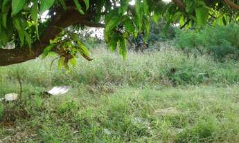 Imagem 2: Chácara a venda no setor Cidade Satélite em Aparecida de Goiânia