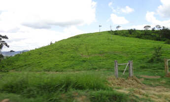 Imagem 3: 220 Alq. Guaraniaçu-Pr