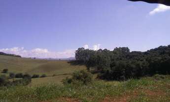 Imagem 4: Chácara com 4 dormitórios à venda, 30000 m² por R$ 550.000,00 - Zona Rural - Pouso Alegre