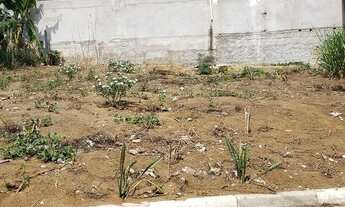 Imagem 4: Vendo terreno 15 metros de frente por 23 de fundos