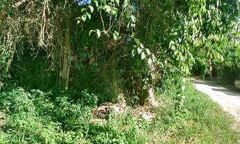 Imagem: OPEN HOUSE VENDE - Rua do Mercado Diamante