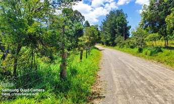 Imagem 7: Vendo chácara com vertentes e Árvoredos localidade de Maracanã /Glorinha!