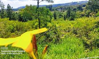 Imagem 3: Vendo chácara com vertentes e Árvoredos localidade de Maracanã /Glorinha!
