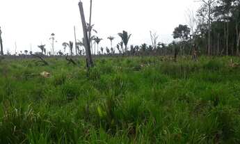 Imagem 3: Fazendinha Chácara com venda por R$1.000.000