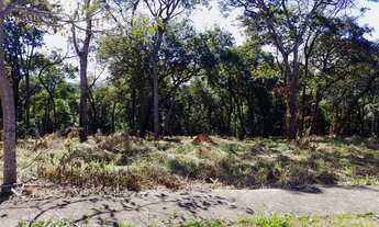 Imagem 2: Oportunidade Vendo Lotes 1.000m² Uso Residencial e Comercial