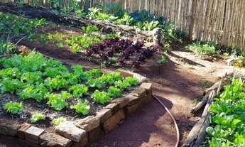 Imagem 4: Tem vontade de morar com muito espaço?