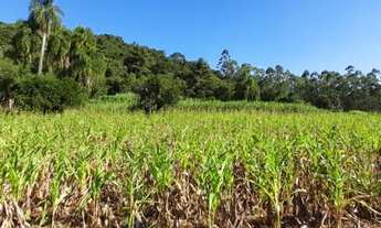 Imagem 6: Chácara com Casa Enxaimel em Lindolfo Collor REF: 210332