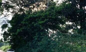 Imagem 3: Vendo ou Troco Terreno na AM 010 de 60mt2