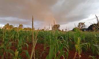 Imagem 2: Vendo ou troco lote 5.000m2