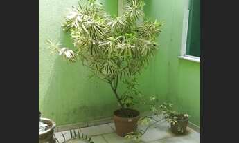 Imagem 5: Sobrado no Jardim Paraíso- São Paulo, SP