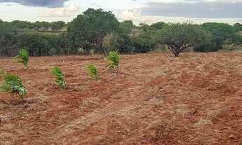 Imagem 3: Sítio com duas tarefas