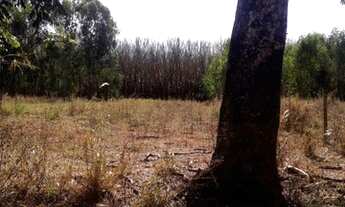 Imagem 3: Chacara Chácara com venda por R$5.600.011