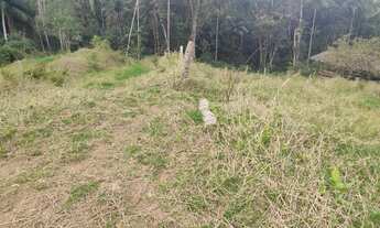 Imagem 2: Fazenda/Sítio/Chácara para venda tem 2 metros quadrados com 2 quartos