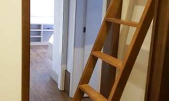 Imagem 6: CANELA - Padrão - Centro