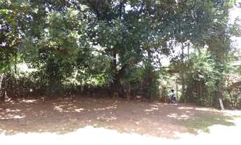 Imagem 3: Chácara águas virtuosas