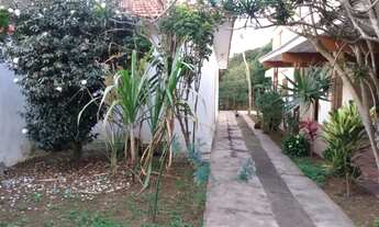 Imagem 4: Terreno plano com 780 metros na Vila Alzira