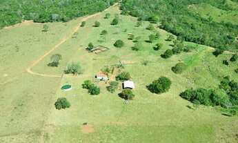 Imagem 5: Venda Fazenda ?254 hectares ? Casa sede nova ? Fazenda em Dom Aquino Mt / Poxoreu